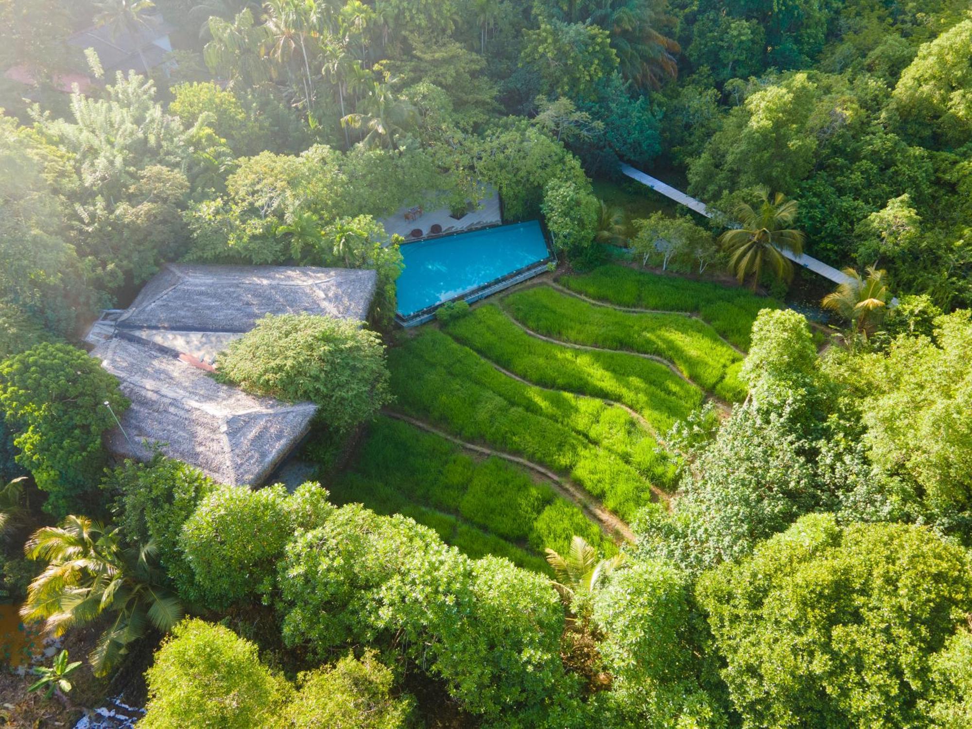 Jetwing Kurulubedda - Adults Only Villa Galle Buitenkant foto
